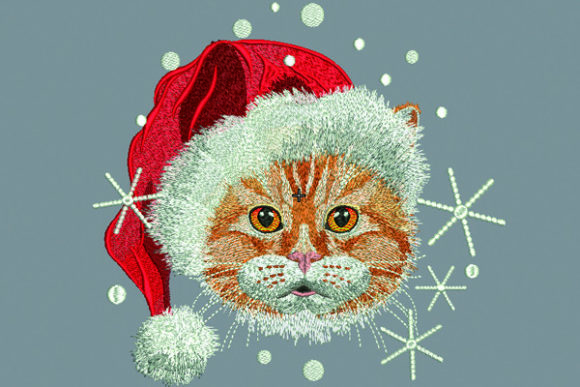 Cat with Santa Hat Embroidery Review